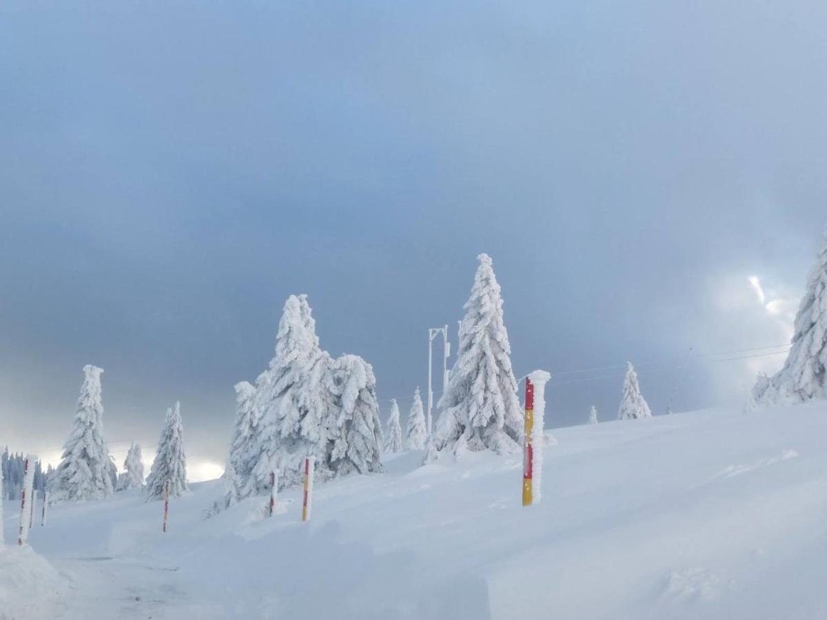 Apartman D&V Milmari Resort S10 Kopaonik Exterior foto